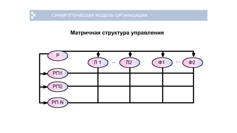 Основные модели организации